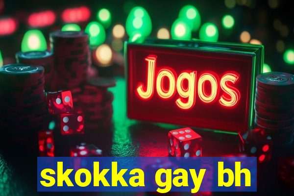 skokka gay bh